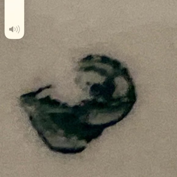 VILLEROY & BOCH Antique 12" Chop Plate (Round Platter) ROUEN Pattern HTF. - Picture 3 of 6